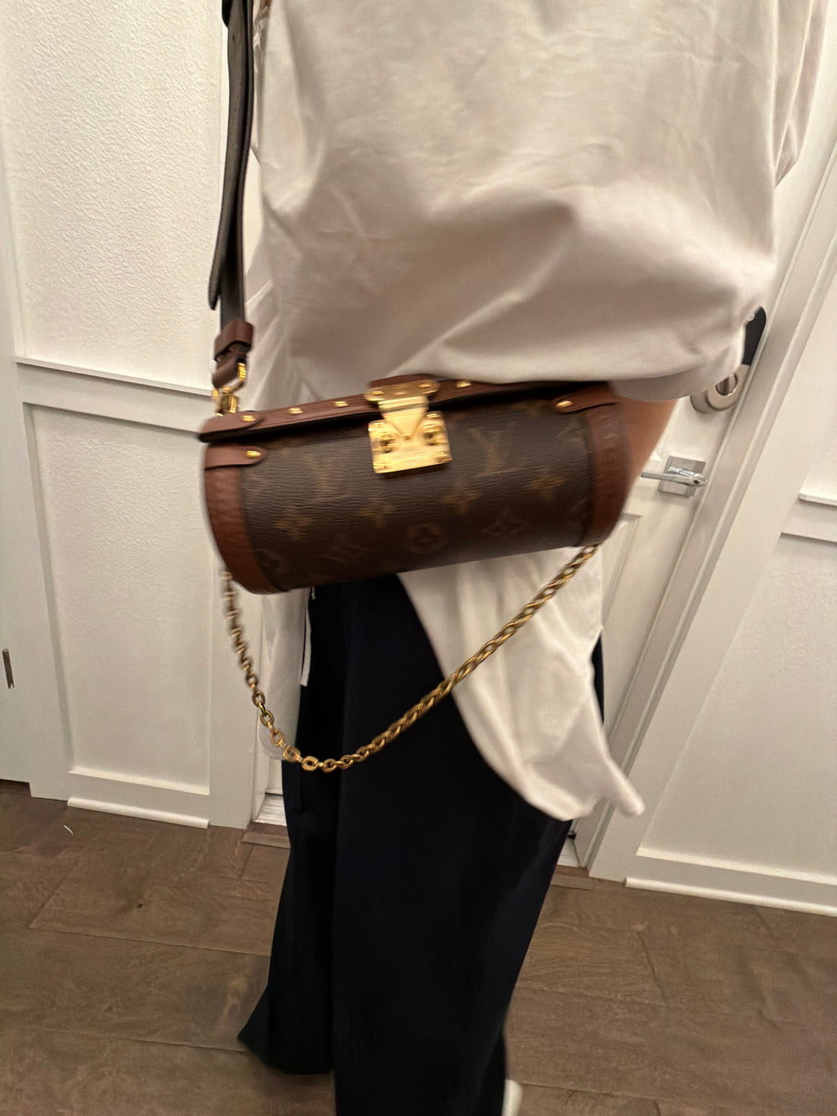 Louis Vuitton Papillon Trunk