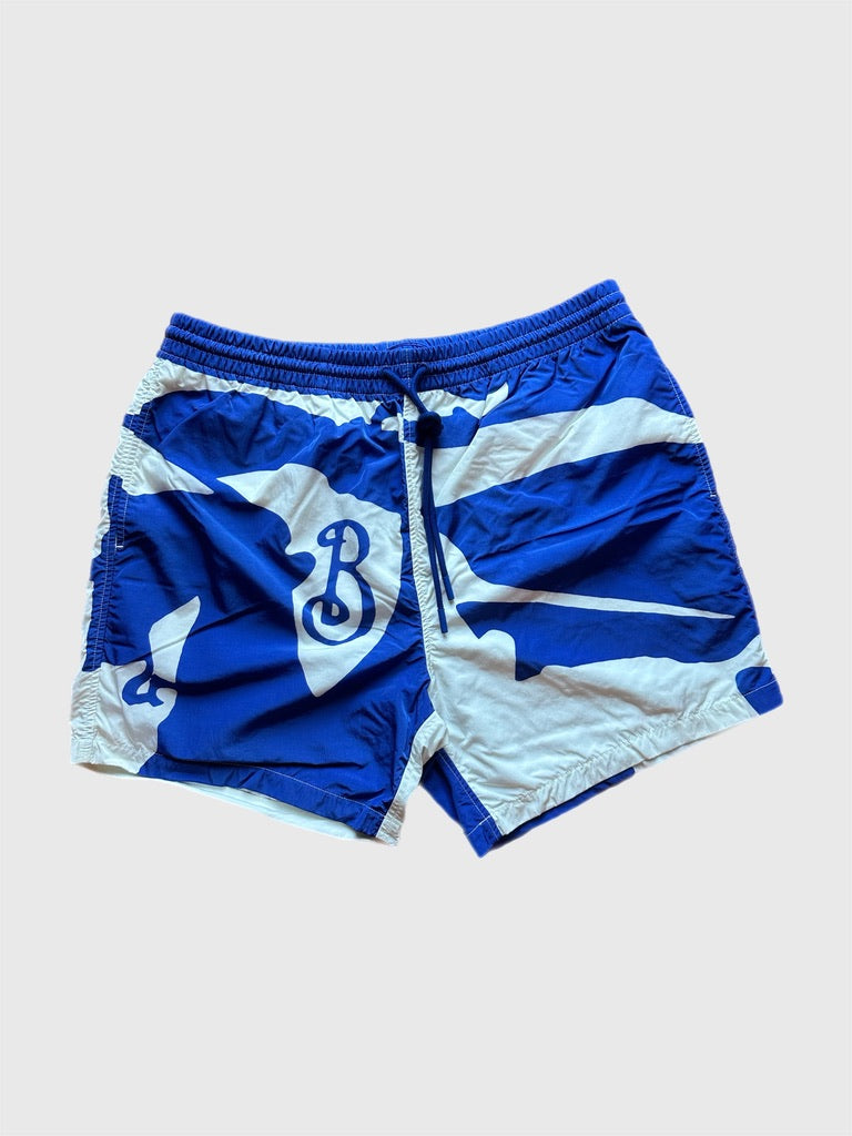 Burberry Men's Large White/Blue Swim Shorts