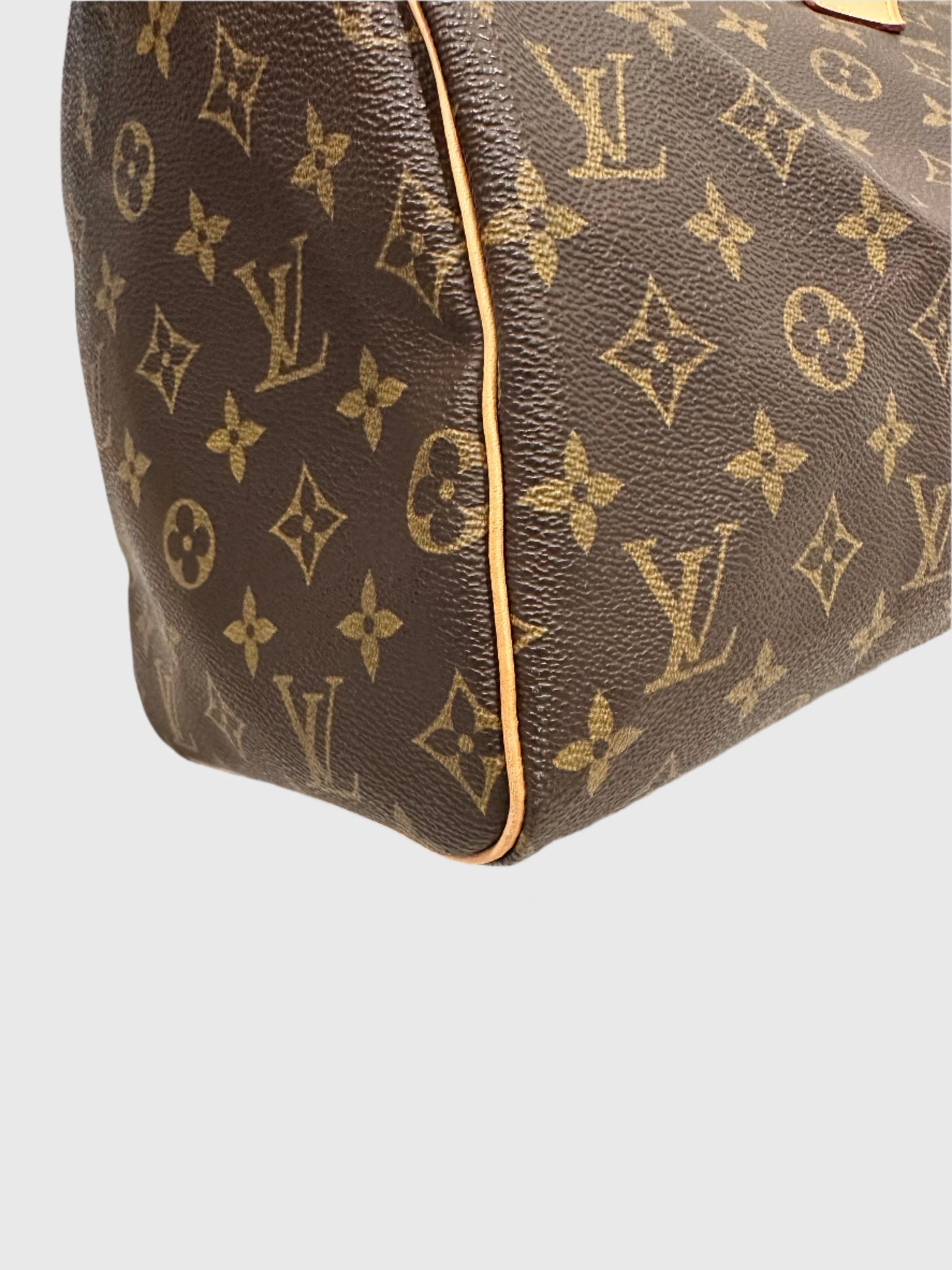 Louis Vuitton Monogram Speedy 30