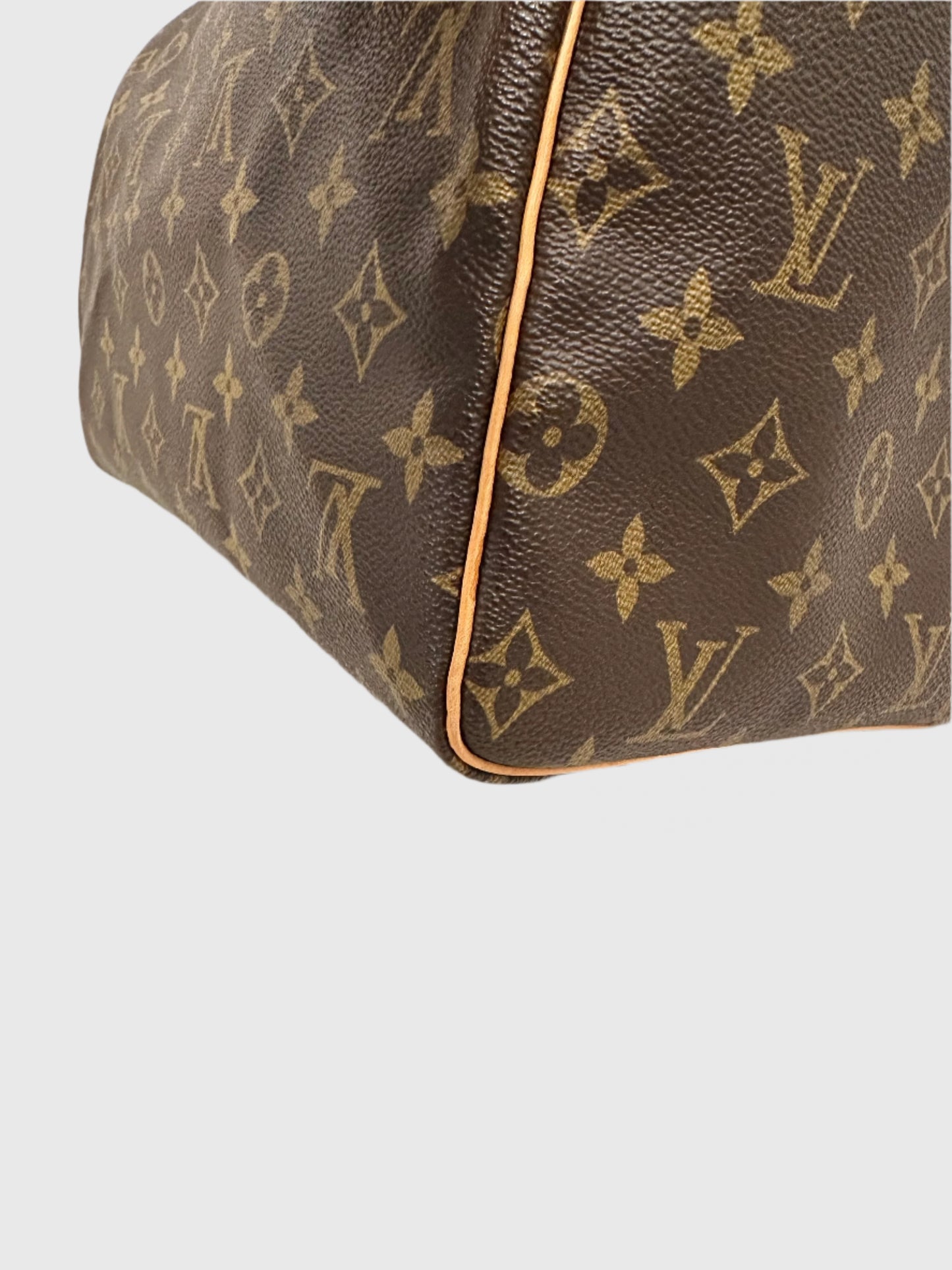 Louis Vuitton Monogram Speedy 30