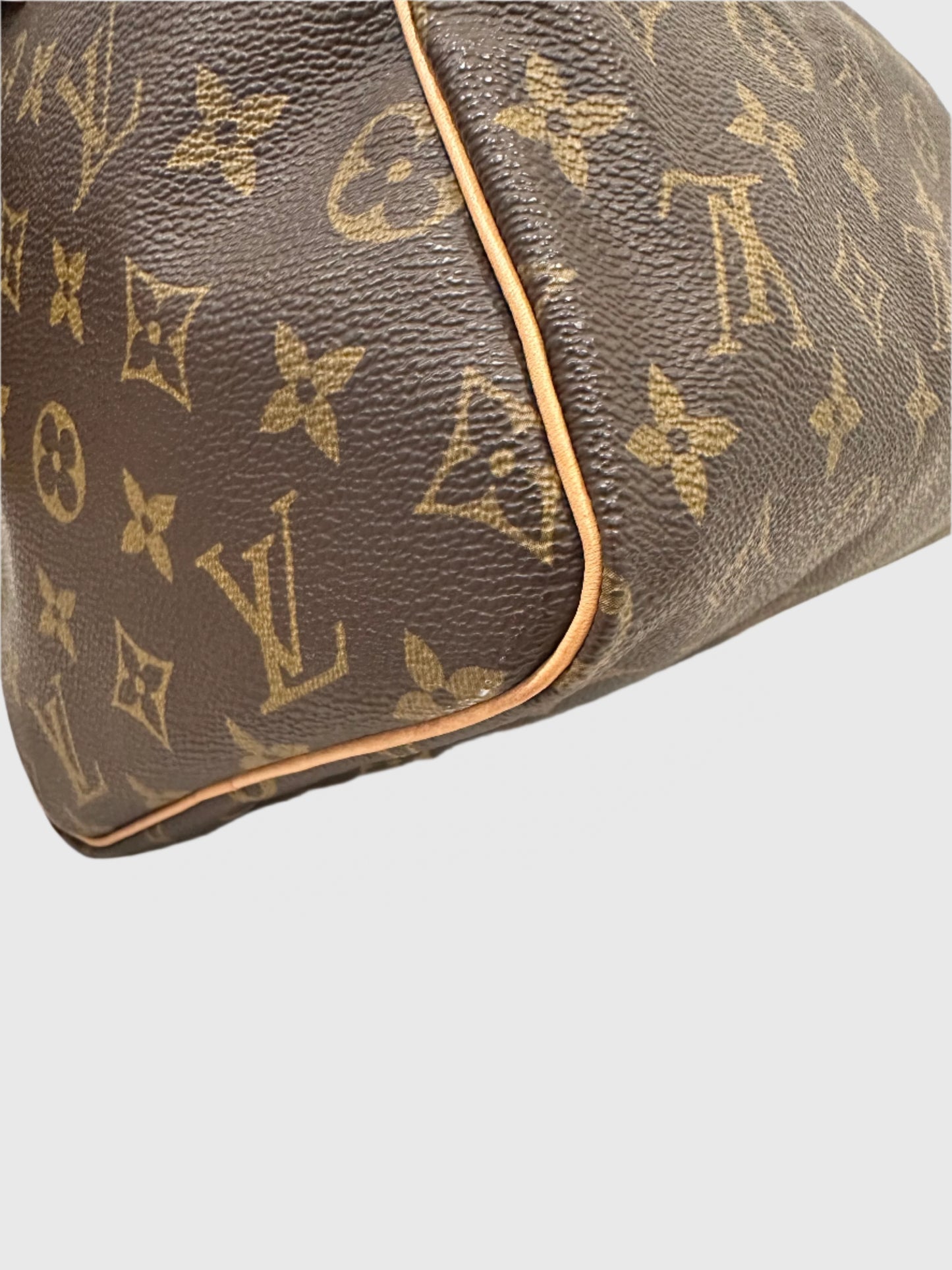 Louis Vuitton Monogram Speedy 30