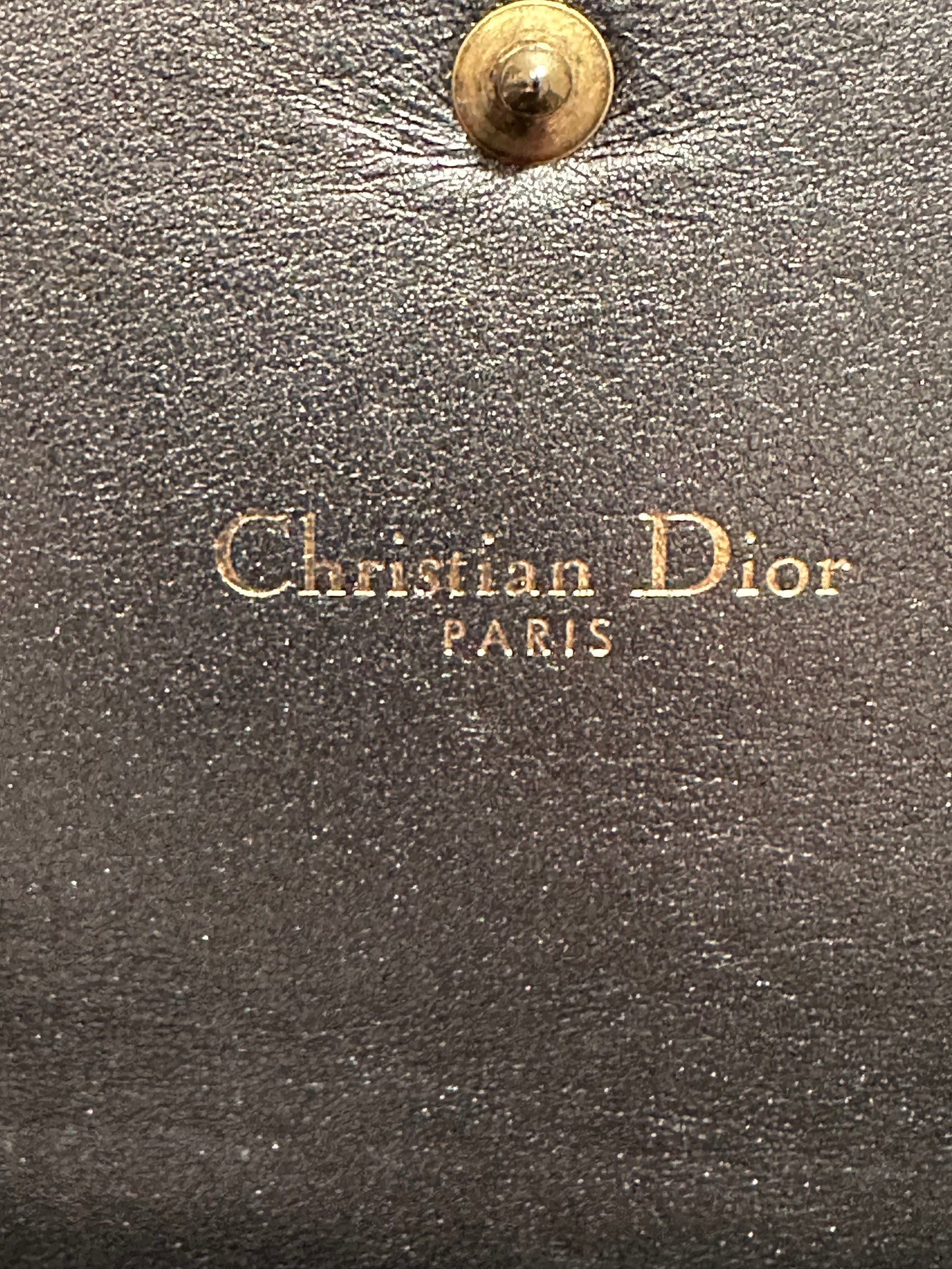 Dior J'adior Leather Croisière Silver Metallic Crossbody Wallet on Chain Clutch